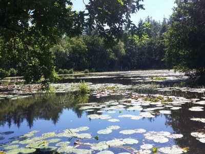 Holiday house Tranquil Beach Retreat - By Traum Ferienwohnungen - Outdoor photo 6