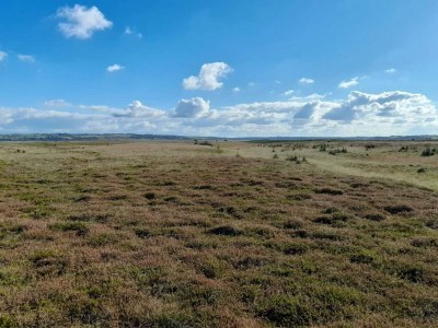 Holiday house 6 Personen Ferienhaus in Lemvig - Outdoor photo 11
