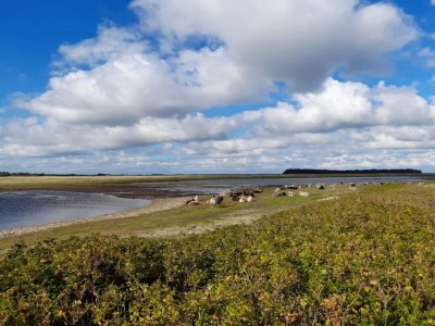 Holiday house 6 Personen Ferienhaus in Lemvig - Outdoor photo 41