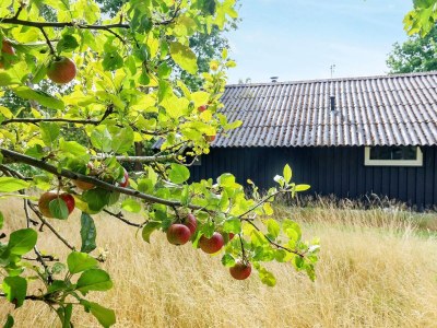 Holiday house Secluded Haven by Beach - By Traum Ferienwohnungen - Outdoor photo 16