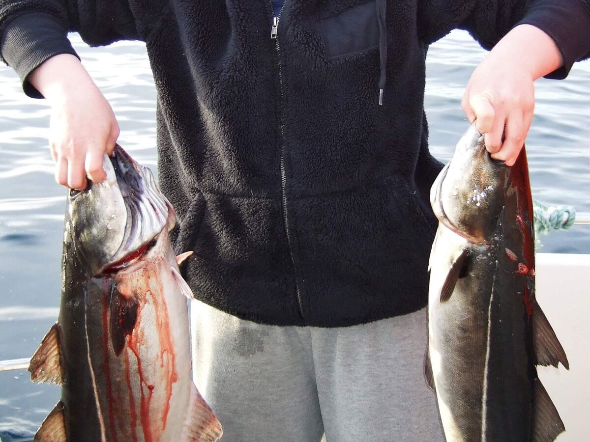 Holiday house 4 person holiday home in Rebbenes - Outdoor photo 4