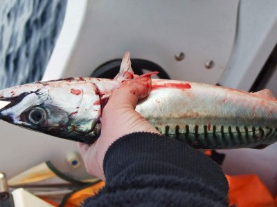 Holiday house 4 person holiday home in Rebbenes - Outdoor photo 10