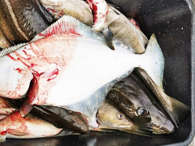 Holiday house 4 person holiday home in Rebbenes - Outdoor photo 19