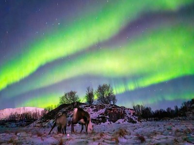 Holiday house 4 person holiday home in Rebbenes - Outdoor photo 28