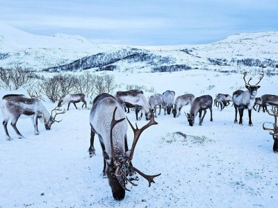 Holiday house 4 person holiday home in Rebbenes - Outdoor photo 31