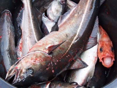 Holiday house 4 person holiday home in Rebbenes - Outdoor photo 40