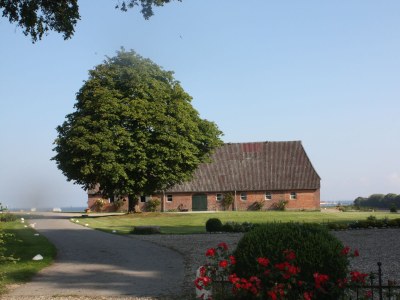 Holiday house Gut Ohrfeld - Outdoor photo 4