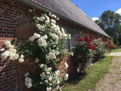 Holiday house Gut Ohrfeld - Outdoor photo 8