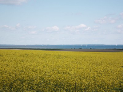 Holiday house Gut Ohrfeld - Environment photo 20