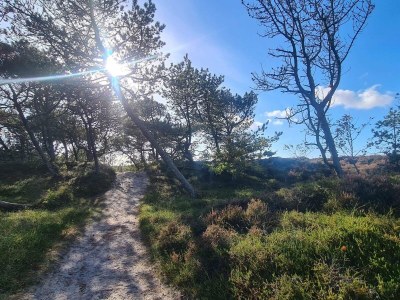 Holiday house Luxus-Ruckzug mit Pool -- By Traum Ferienwohnungen - Outdoor photo 8