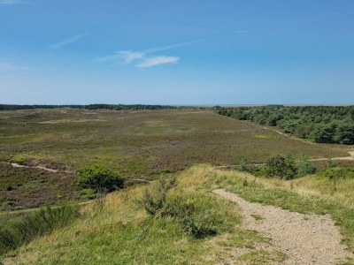Holiday house Luxus-Ruckzug mit Pool -- By Traum Ferienwohnungen - Outdoor photo 14