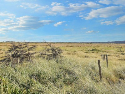 Apartment Meeresruhe am Tranum Strand-By Traum - Outdoor photo 21