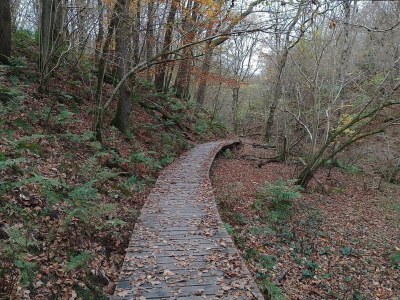 Apartment Meeresruhe am Tranum Strand-By Traum - Outdoor photo 28