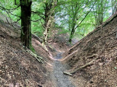 Apartment Meeresruhe am Tranum Strand-By Traum - Outdoor photo 41