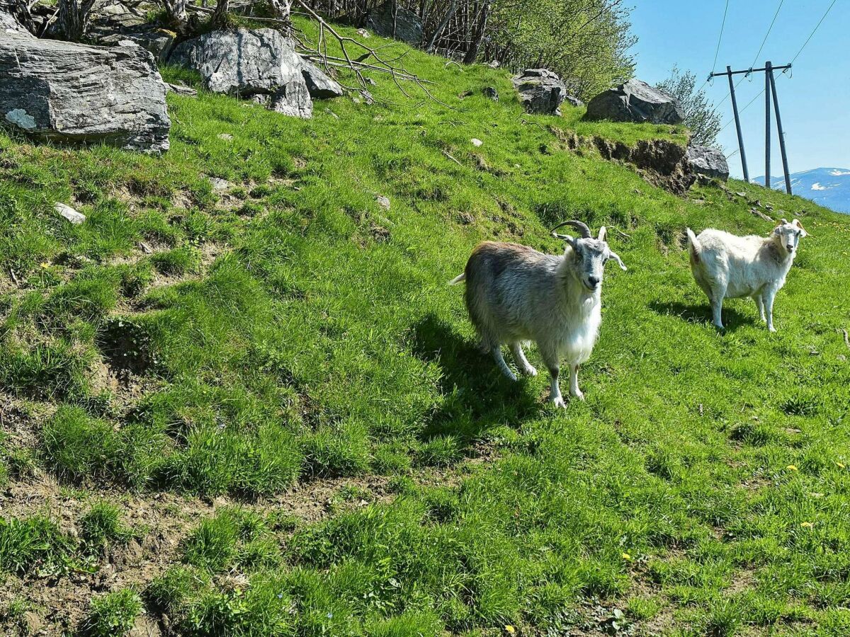 Apartment 6 Personen Ferienhaus in Onarheim - Outdoor photo 5