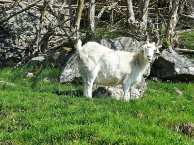 Apartment 6 Personen Ferienhaus in Onarheim - Outdoor photo 22