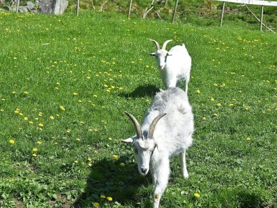 Apartment 6 Personen Ferienhaus in Onarheim - Outdoor photo 26