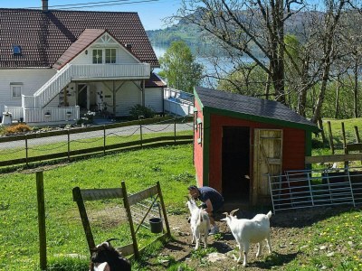 Apartment 6 Personen Ferienhaus in Onarheim - Outdoor photo 41