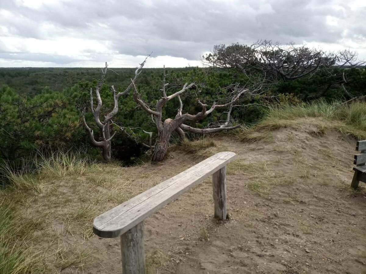 Holiday house 6 person holiday home in Ulfborg-By Traum - Outdoor photo 5