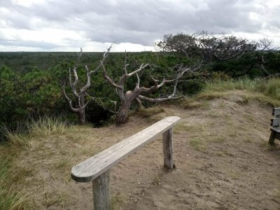 Holiday house 6 person holiday home in Ulfborg-By Traum - Outdoor photo 5