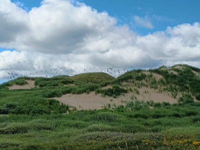 Holiday house 6 person holiday home in Ulfborg-By Traum - Outdoor photo 6