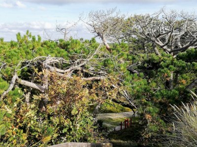 Holiday house 6 person holiday home in Ulfborg-By Traum - Outdoor photo 8