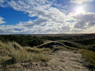 Holiday house 6 person holiday home in Ulfborg-By Traum - Outdoor photo 9