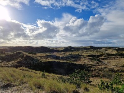 Holiday house 6 person holiday home in Ulfborg-By Traum - Outdoor photo 10