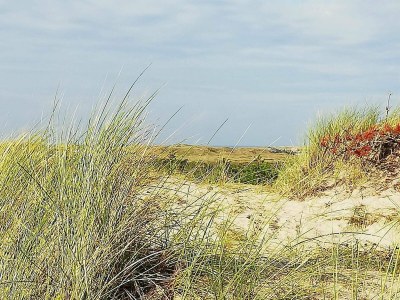 Holiday house 6 person holiday home in Ulfborg-By Traum - Outdoor photo 24