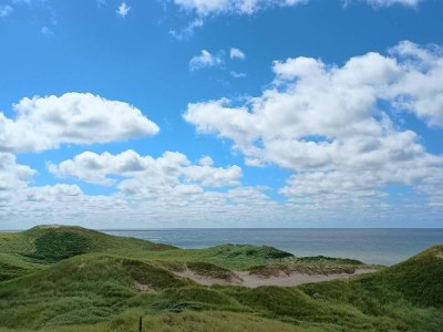 Holiday house 6 person holiday home in Ulfborg-By Traum - Outdoor photo 25