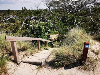 Holiday house 6 person holiday home in Ulfborg-By Traum - Outdoor photo 26