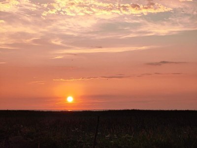 Holiday house 6 person holiday home in Ulfborg-By Traum - Outdoor photo 31