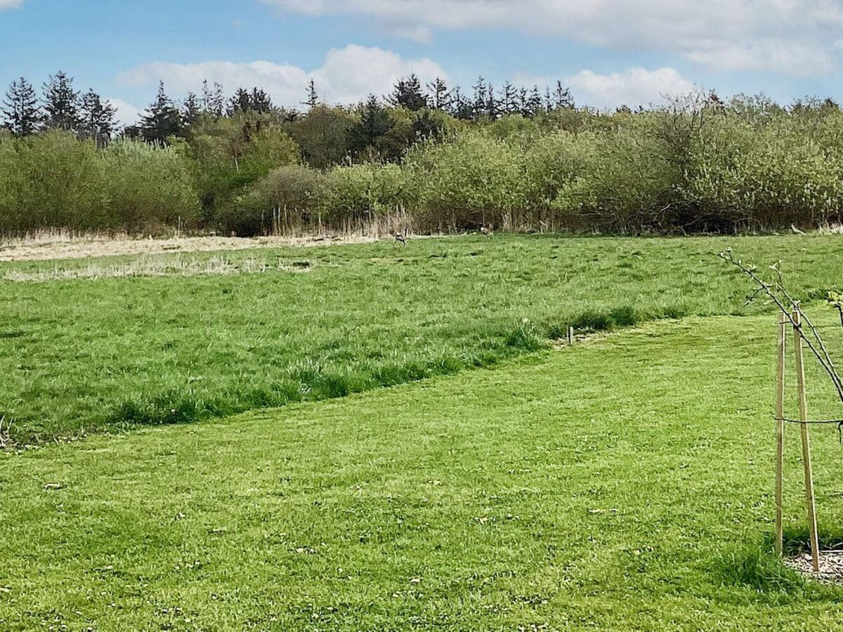 Holiday house 24 person holiday home in Øster Assels - Outdoor photo 5