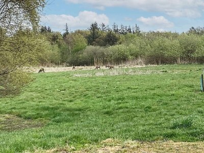 Holiday house 24 person holiday home in Øster Assels - Outdoor photo 16