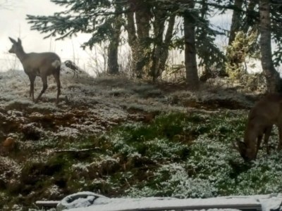 Holiday house Cozy Cottage Retreat in Trend-By Traum - Outdoor photo 3