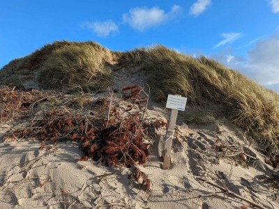 Holiday house 6 person holiday home in Ulfborg - Outdoor photo 9