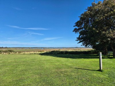 Holiday house 6 person holiday home in Ulfborg - Outdoor photo 11