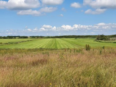 Holiday house 6 person holiday home in Ulfborg - Outdoor photo 22