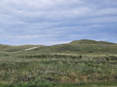 Holiday house 6 person holiday home in Ulfborg - Outdoor photo 23