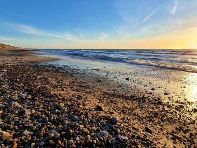 Holiday house 6 person holiday home in Ulfborg - Outdoor photo 32