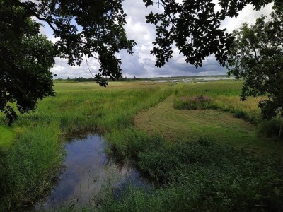 Holiday house 6 person holiday home in Ulfborg - Outdoor photo 34
