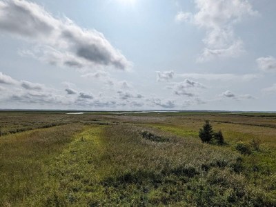 Holiday house 8 person holiday home in Ulfborg - Outdoor photo 15