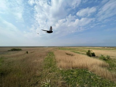 Holiday house 8 person holiday home in Ulfborg - Outdoor photo 16