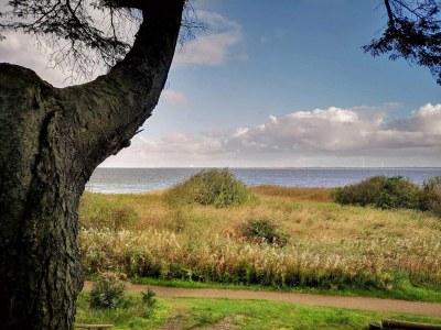 Holiday house 8 person holiday home in Ulfborg - Outdoor photo 17