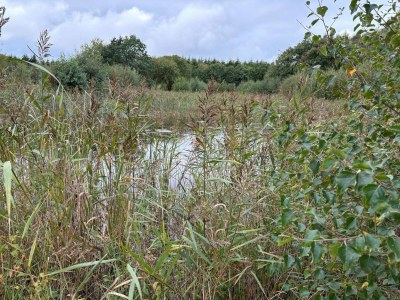 Holiday house 8 person holiday home in Ulfborg - Outdoor photo 20