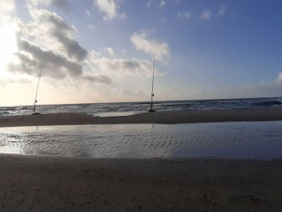 Holiday house 8 person holiday home in Ulfborg - Outdoor photo 21