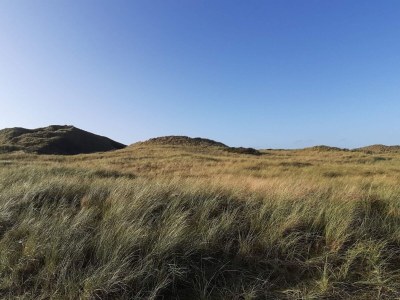 Holiday house 8 person holiday home in Ulfborg - Outdoor photo 22