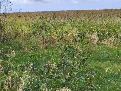 Holiday house 8 person holiday home in Ulfborg - Outdoor photo 34