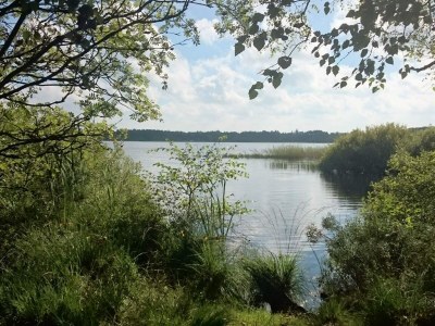 Holiday house 6 person holiday home in Ansager-By Traum - Outdoor photo 35