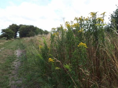 Holiday house 6 person holiday home in Bredebro - Outdoor photo 9